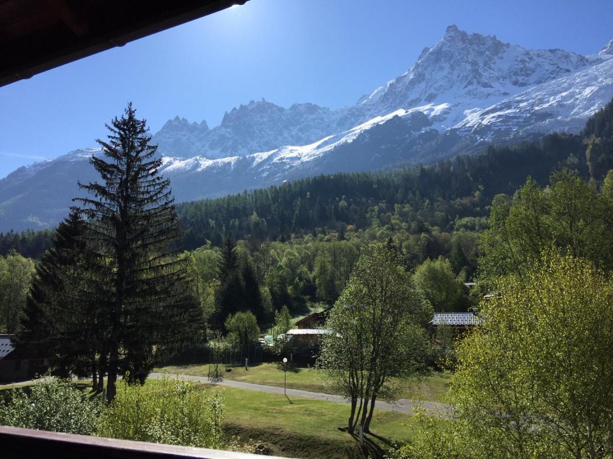 Appartement Face Au Mont Blanc & Glaciers Chamonix Exterior foto