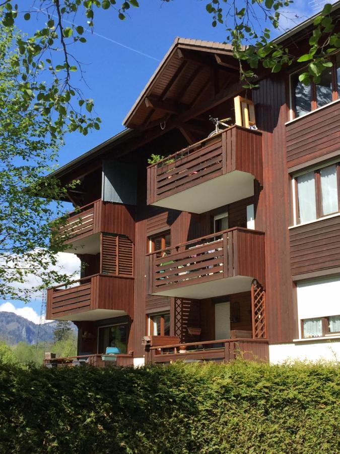 Appartement Face Au Mont Blanc & Glaciers Chamonix Exterior foto