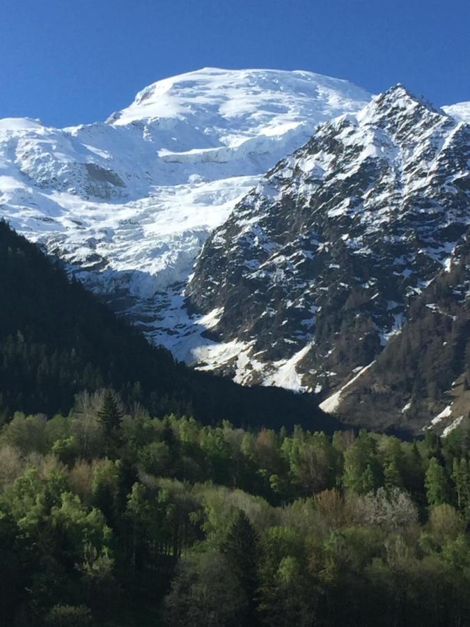 Appartement Face Au Mont Blanc & Glaciers Chamonix Exterior foto