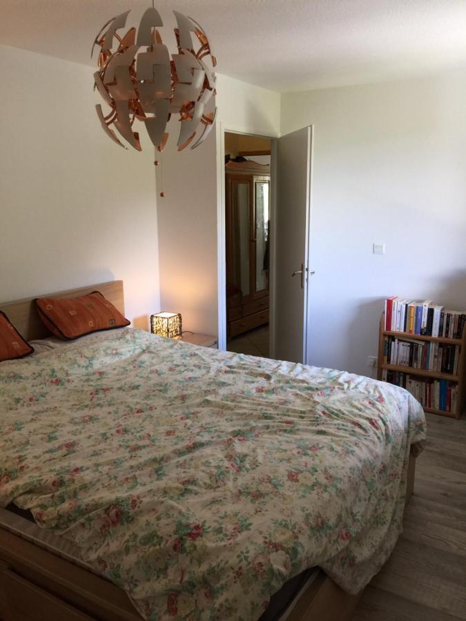 Appartement Face Au Mont Blanc & Glaciers Chamonix Exterior foto